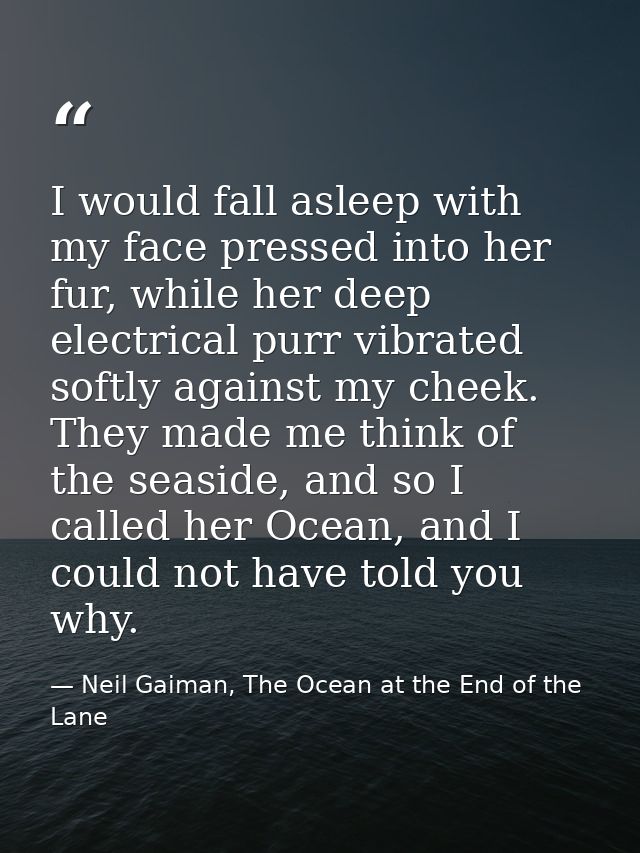 I would fall asleep with my face pressed into her fur, while her deep electrical purr vibrated softly against my cheek.  — Neil Gaiman, The Ocean at the End of the Lane