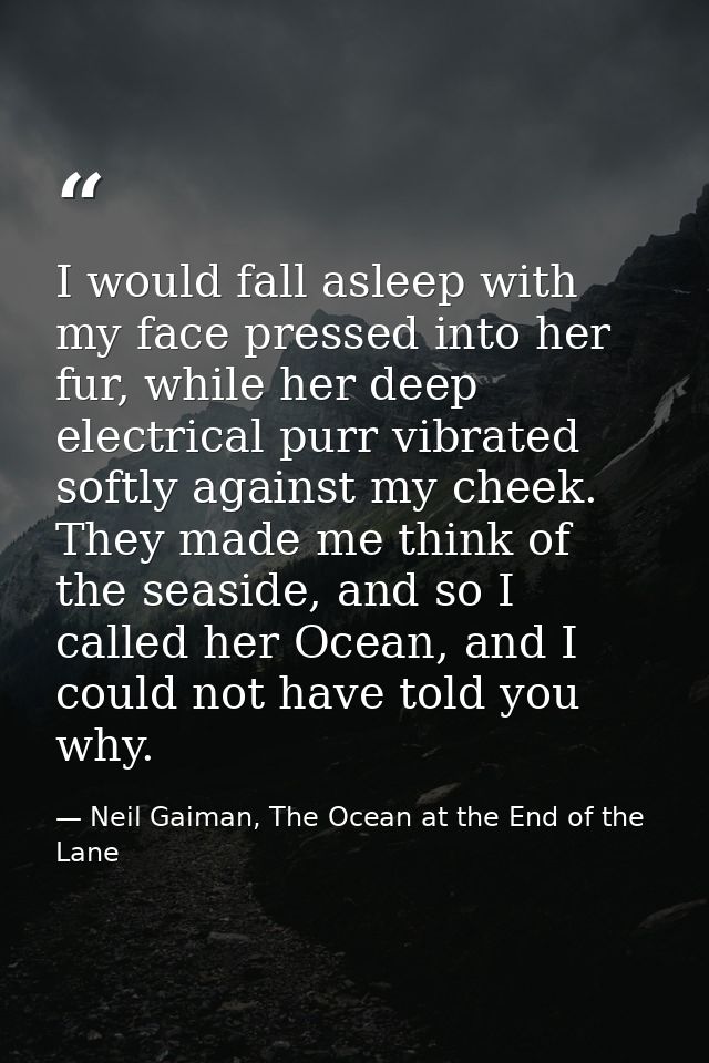 I would fall asleep with my face pressed into her fur, while her deep electrical purr vibrated softly against my cheek.  — Neil Gaiman, The Ocean at the End of the Lane