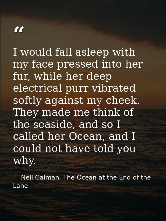 I would fall asleep with my face pressed into her fur, while her deep electrical purr vibrated softly against my cheek.  — Neil Gaiman, The Ocean at the End of the Lane