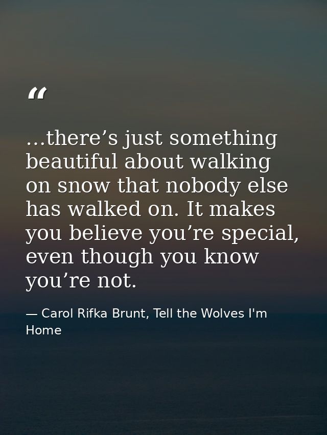 …there’s just something beautiful about walking on snow that nobody else has walked on. It makes you believe you’re spec — Carol Rifka Brunt, Tell the Wolves I'm Home