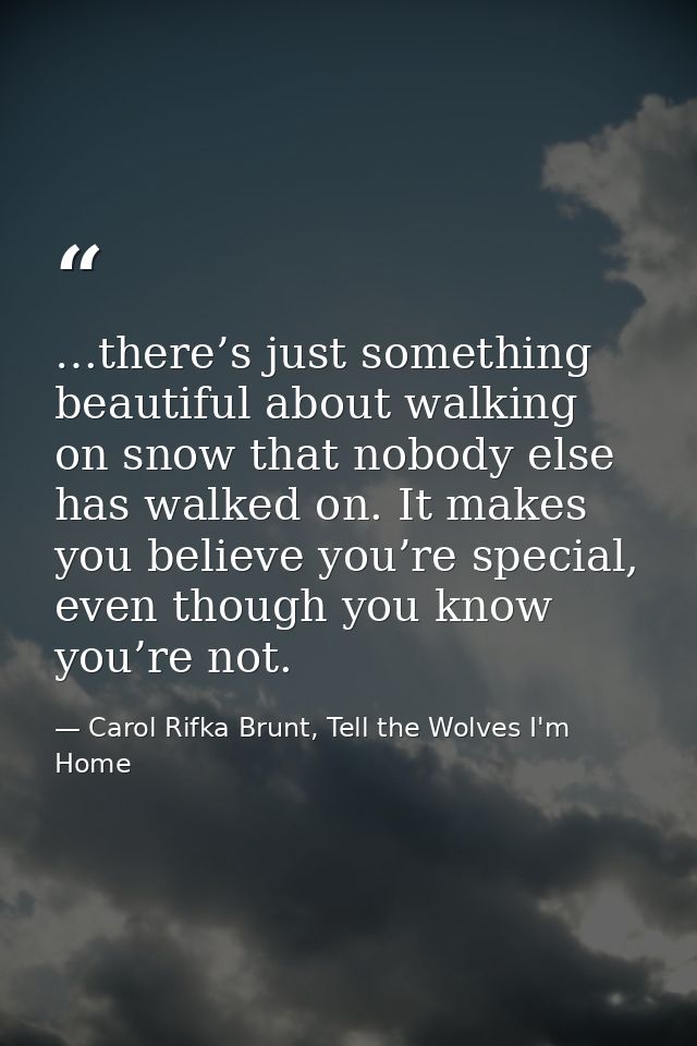 …there’s just something beautiful about walking on snow that nobody else has walked on. It makes you believe you’re spec — Carol Rifka Brunt, Tell the Wolves I'm Home