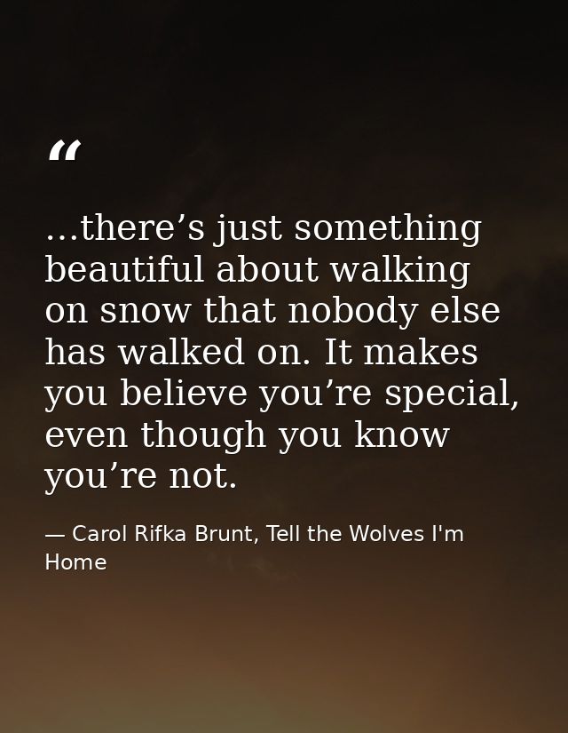 …there’s just something beautiful about walking on snow that nobody else has walked on. It makes you believe you’re spec — Carol Rifka Brunt, Tell the Wolves I'm Home