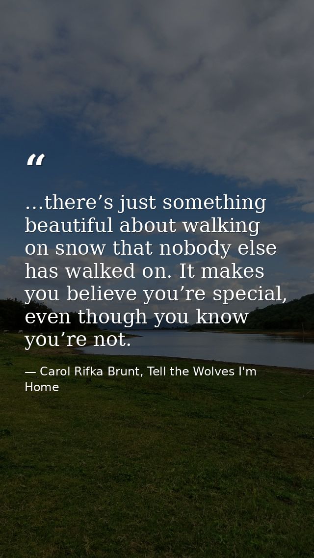 …there’s just something beautiful about walking on snow that nobody else has walked on. It makes you believe you’re spec — Carol Rifka Brunt, Tell the Wolves I'm Home