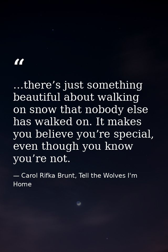 …there’s just something beautiful about walking on snow that nobody else has walked on. It makes you believe you’re spec — Carol Rifka Brunt, Tell the Wolves I'm Home