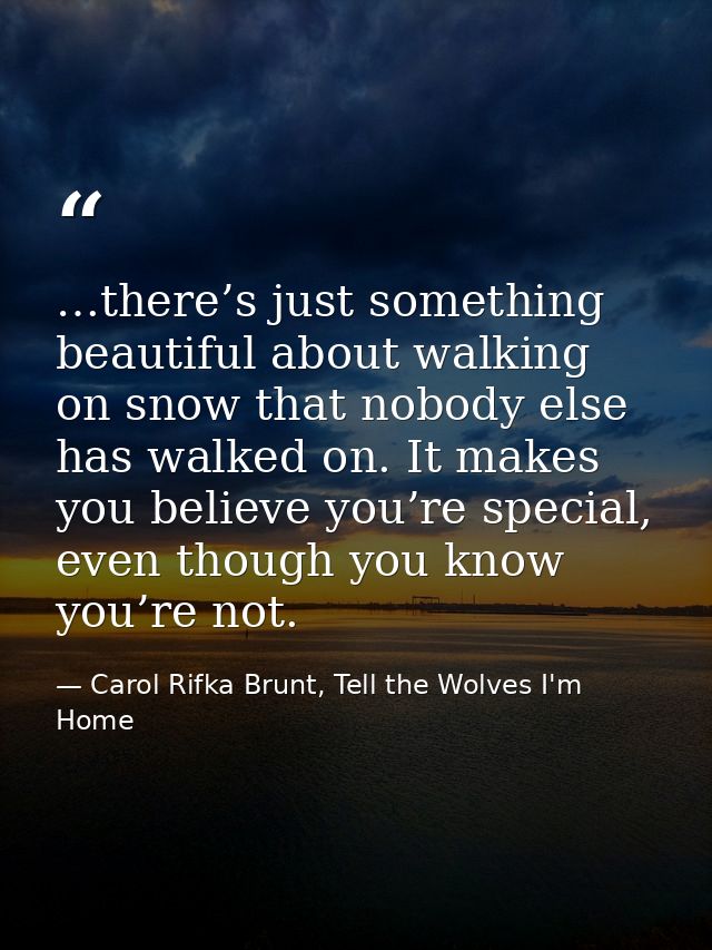 …there’s just something beautiful about walking on snow that nobody else has walked on. It makes you believe you’re spec — Carol Rifka Brunt, Tell the Wolves I'm Home