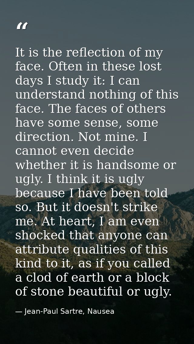 It is the reflection of my face. Often in these lost days I study it: I can understand nothing of this face. The faces o — Jean-Paul Sartre, Nausea