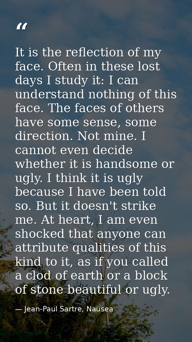 It is the reflection of my face. Often in these lost days I study it: I can understand nothing of this face. The faces o — Jean-Paul Sartre, Nausea