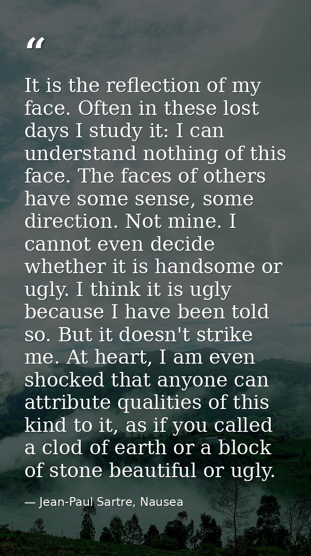 It is the reflection of my face. Often in these lost days I study it: I can understand nothing of this face. The faces o — Jean-Paul Sartre, Nausea