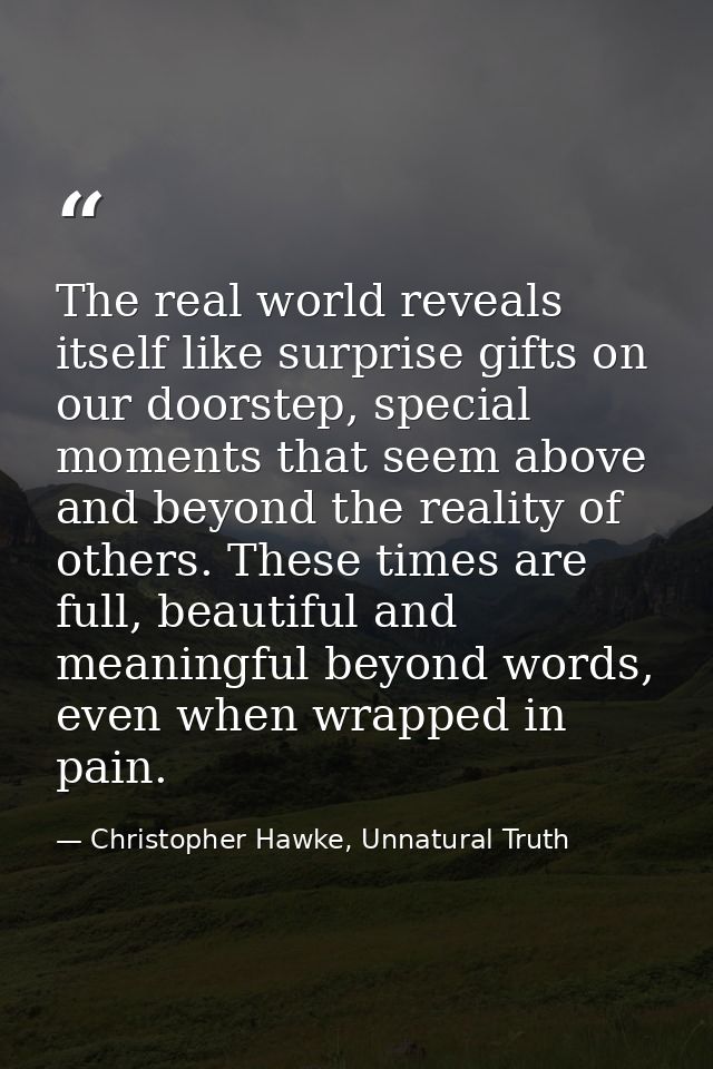 The real world reveals itself like surprise gifts on our doorstep, special moments that seem above and beyond the realit — Christopher Hawke, Unnatural Truth