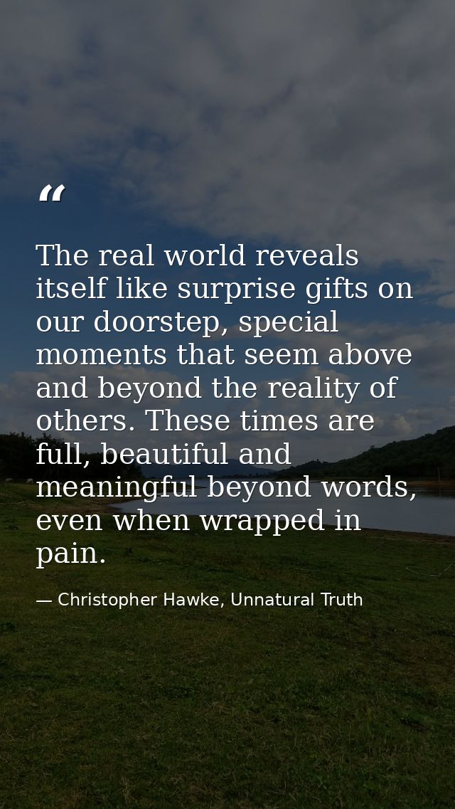 The real world reveals itself like surprise gifts on our doorstep, special moments that seem above and beyond the realit — Christopher Hawke, Unnatural Truth