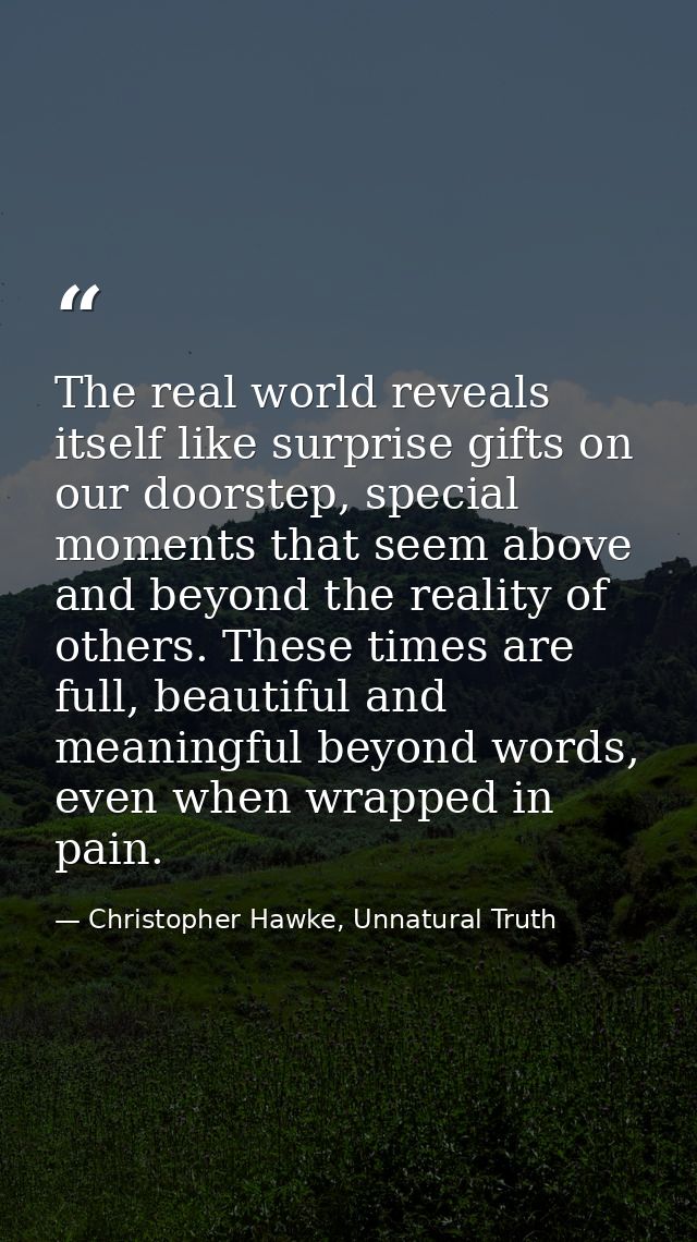 The real world reveals itself like surprise gifts on our doorstep, special moments that seem above and beyond the realit — Christopher Hawke, Unnatural Truth