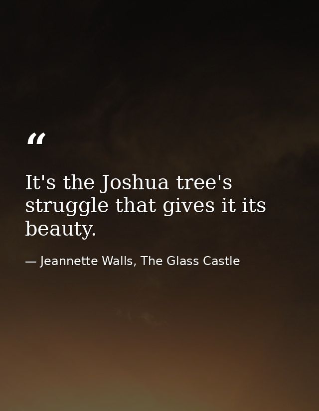 It's the Joshua tree's struggle that gives it its beauty. — Jeannette Walls, The Glass Castle