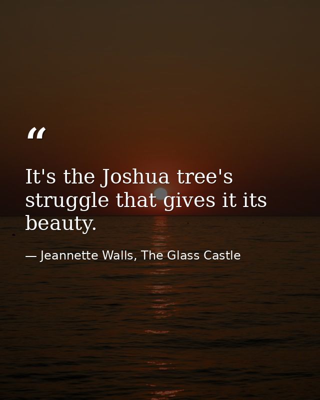 It's the Joshua tree's struggle that gives it its beauty. — Jeannette Walls, The Glass Castle