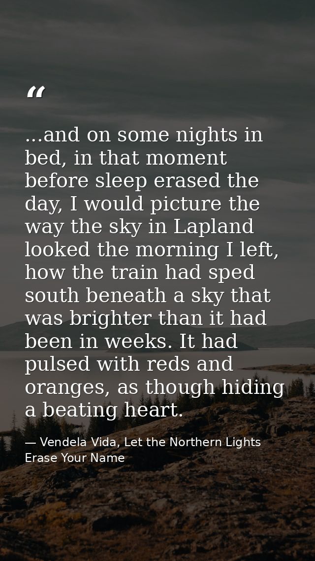 ...and on some nights in bed, in that moment before sleep erased the day, I would picture the way the sky in Lapland loo — Vendela Vida, Let the Northern Lights Erase Your Name