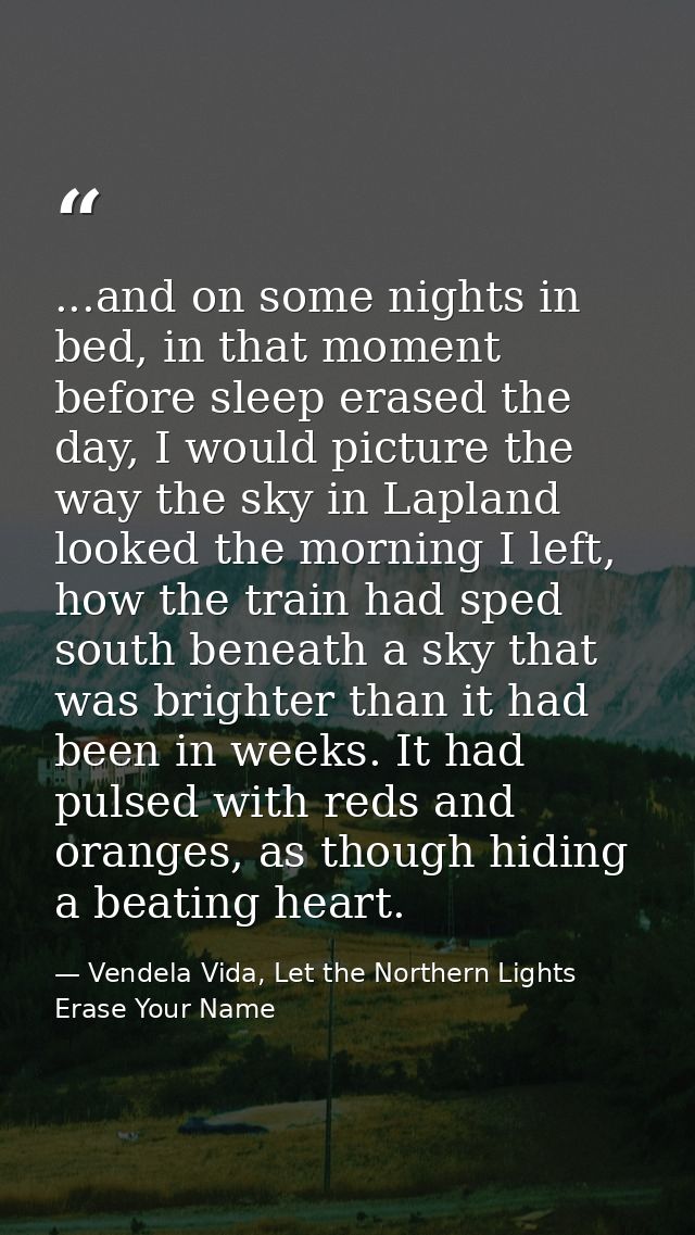 ...and on some nights in bed, in that moment before sleep erased the day, I would picture the way the sky in Lapland loo — Vendela Vida, Let the Northern Lights Erase Your Name
