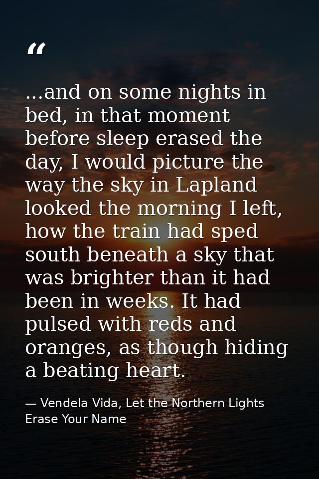 ...and on some nights in bed, in that moment before sleep erased the day, I would picture the way the sky in Lapland loo — Vendela Vida, Let the Northern Lights Erase Your Name