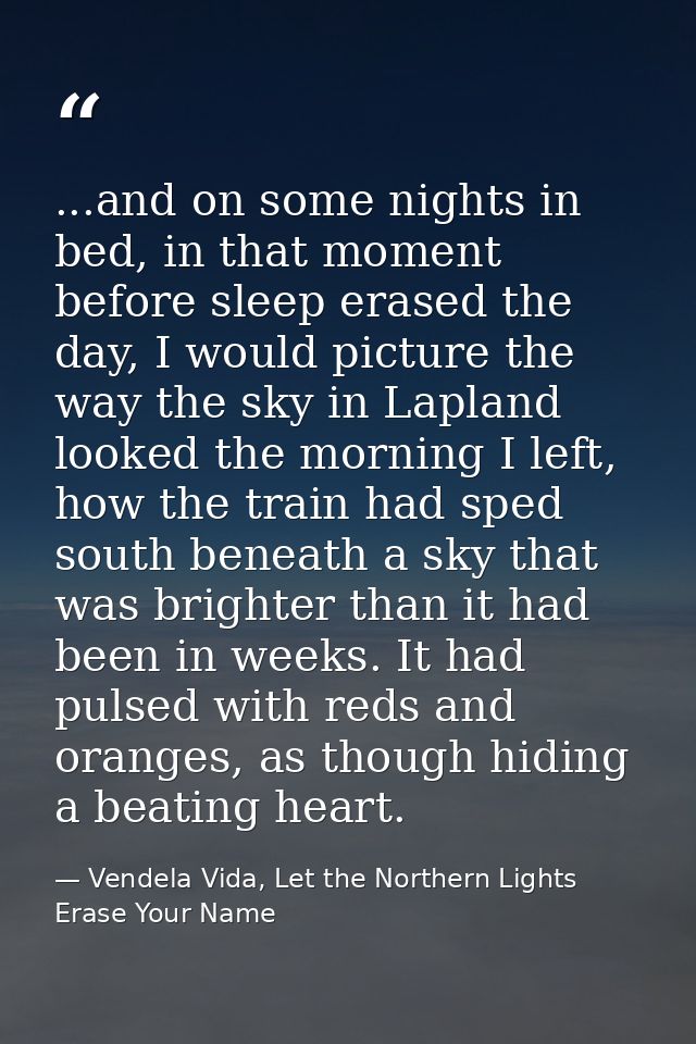 ...and on some nights in bed, in that moment before sleep erased the day, I would picture the way the sky in Lapland loo — Vendela Vida, Let the Northern Lights Erase Your Name