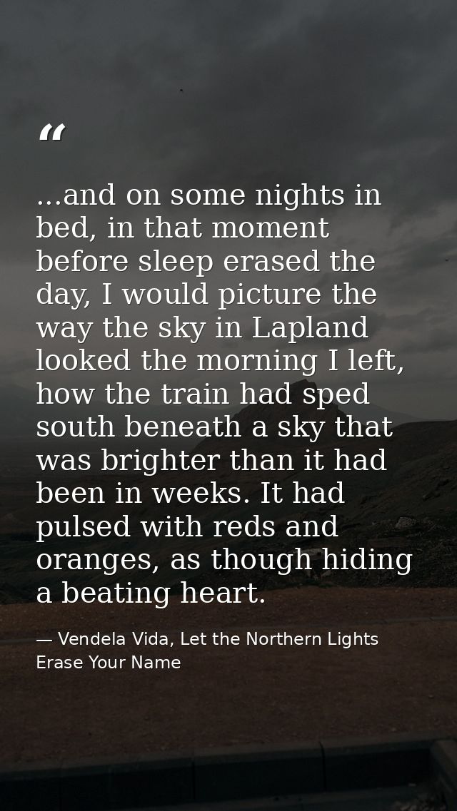 ...and on some nights in bed, in that moment before sleep erased the day, I would picture the way the sky in Lapland loo — Vendela Vida, Let the Northern Lights Erase Your Name