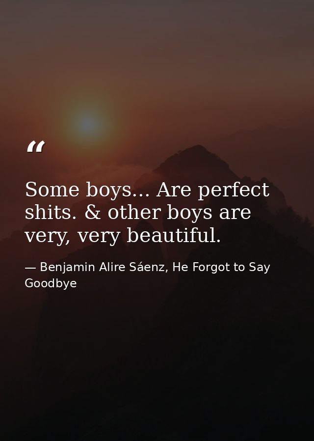 Some boys... Are perfect shits. & other boys are very, very beautiful. — Benjamin Alire Sáenz, He Forgot to Say Goodbye