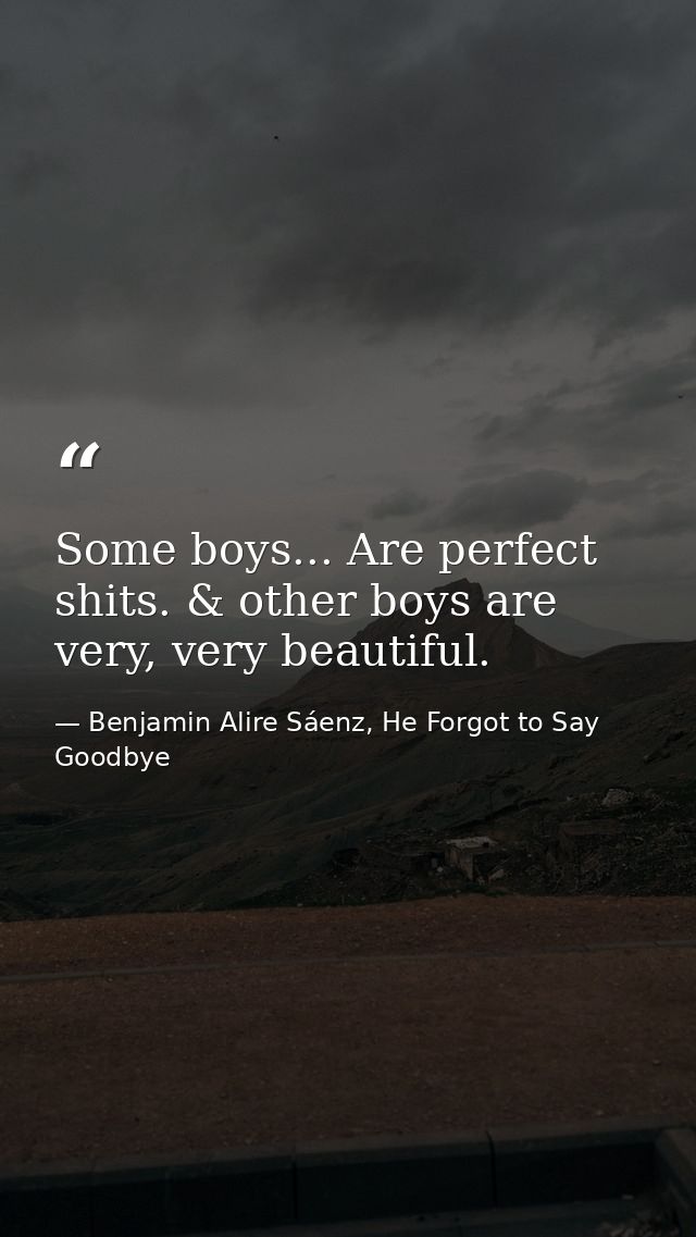 Some boys... Are perfect shits. & other boys are very, very beautiful. — Benjamin Alire Sáenz, He Forgot to Say Goodbye