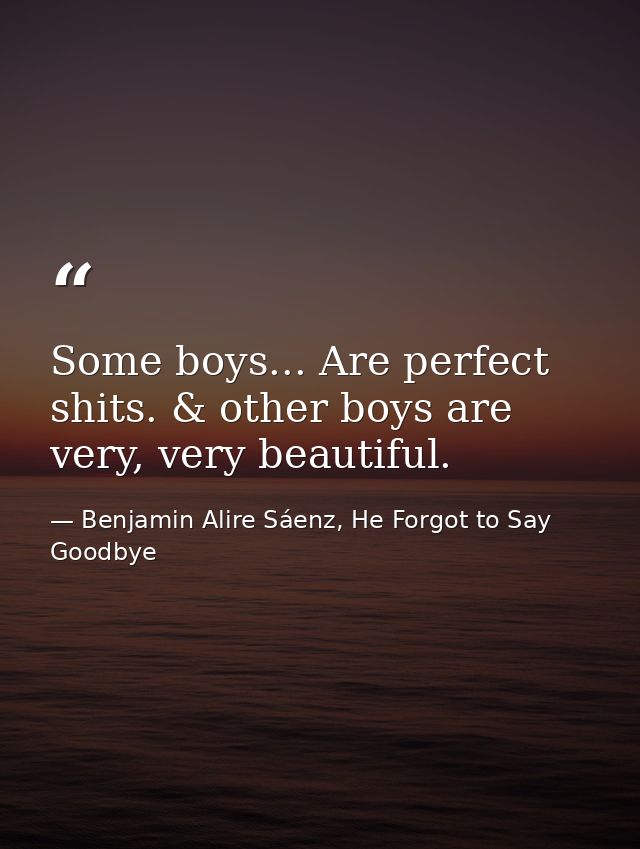 Some boys... Are perfect shits. & other boys are very, very beautiful. — Benjamin Alire Sáenz, He Forgot to Say Goodbye