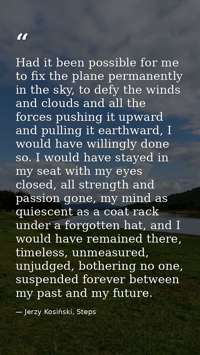 Had it been possible for me to fix the plane permanently in the sky, to defy the winds and clouds and all the forces pus — Jerzy Kosiński, Steps