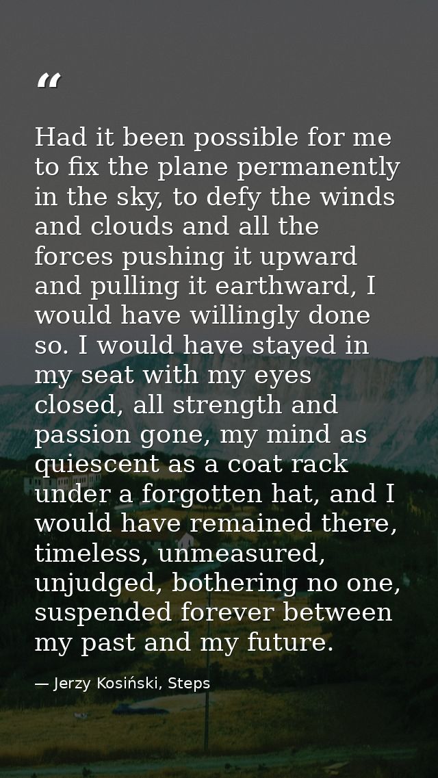 Had it been possible for me to fix the plane permanently in the sky, to defy the winds and clouds and all the forces pus — Jerzy Kosiński, Steps