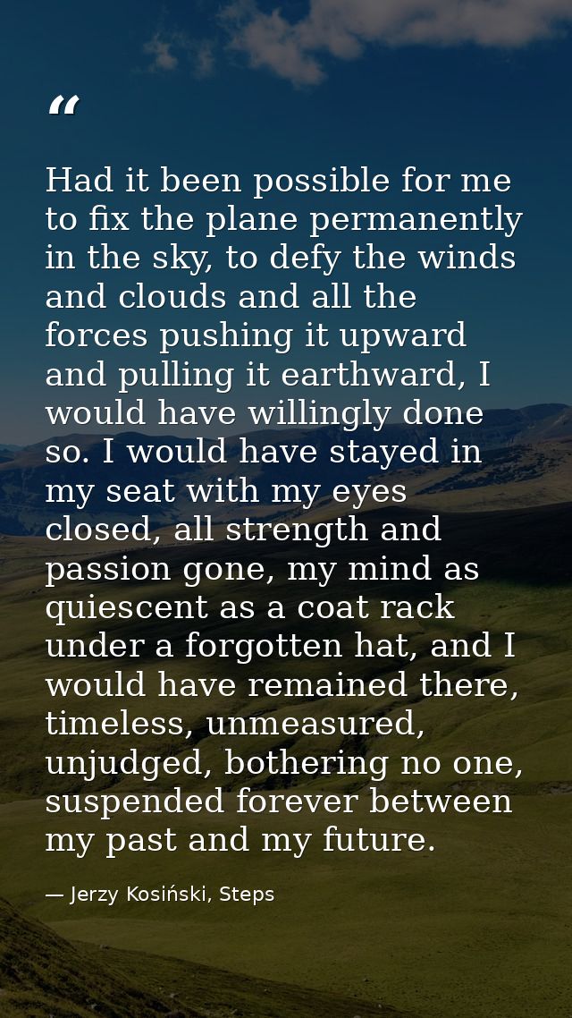 Had it been possible for me to fix the plane permanently in the sky, to defy the winds and clouds and all the forces pus — Jerzy Kosiński, Steps