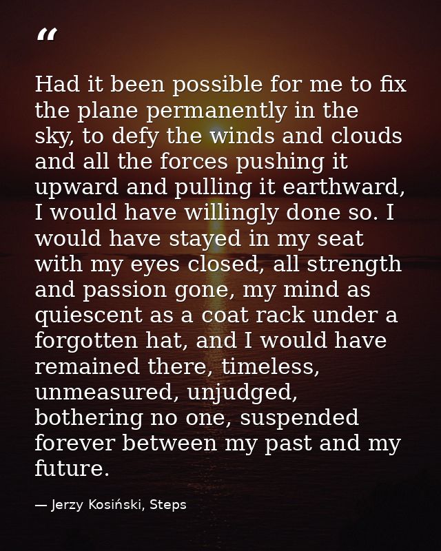Had it been possible for me to fix the plane permanently in the sky, to defy the winds and clouds and all the forces pus — Jerzy Kosiński, Steps