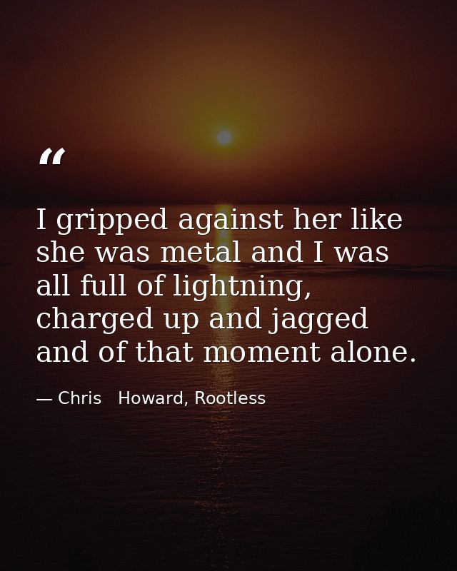 I gripped against her like she was metal and I was all full of lightning, charged up and jagged and of that moment alone — Chris   Howard, Rootless