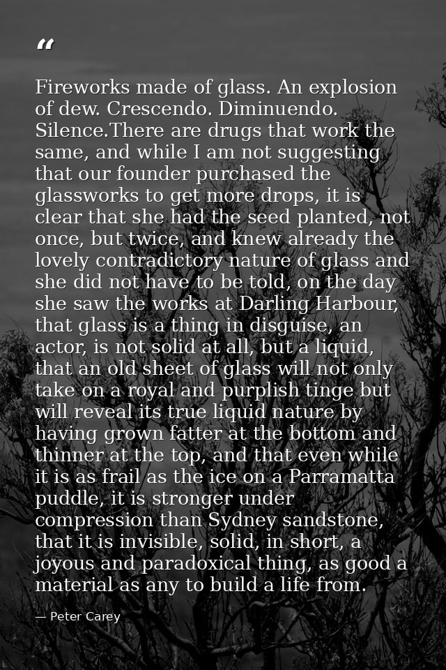 Fireworks made of glass. An explosion of dew. Crescendo. Diminuendo. Silence.There are drugs that work the same, and whi — Peter Carey