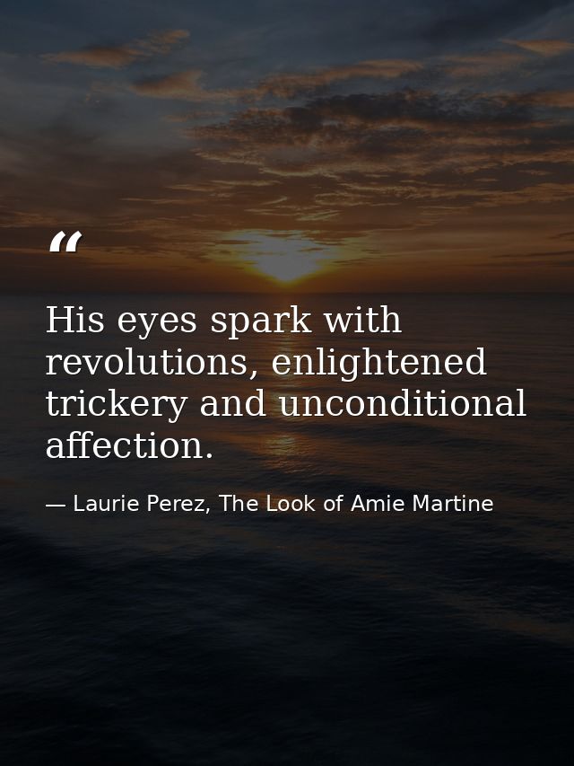 His eyes spark with revolutions, enlightened trickery and unconditional affection. — Laurie Perez, The Look of Amie Martine