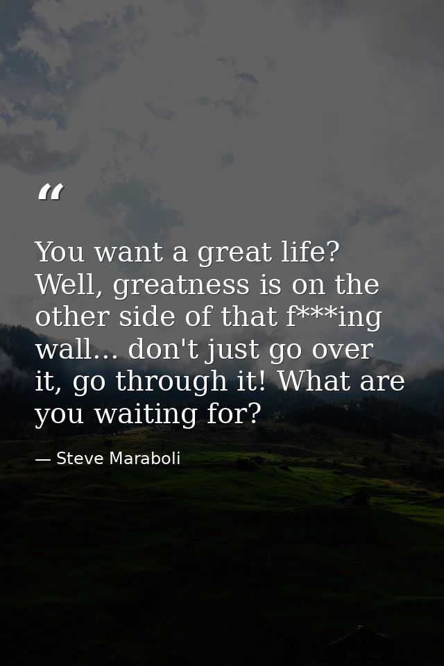 You want a great life? Well, greatness is on the other side of that f***ing wall... don't just go over it, go through it — Steve Maraboli