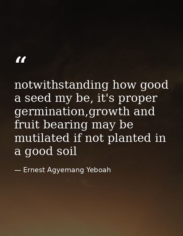 notwithstanding how good a seed my be, it's proper germination,growth and fruit bearing may be mutilated if not planted  — Ernest Agyemang Yeboah