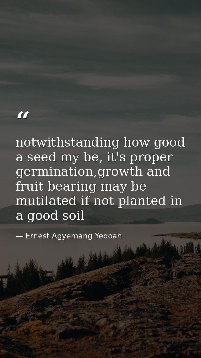 notwithstanding how good a seed my be, it's proper germination,growth and fruit bearing may be mutilated if not planted  — Ernest Agyemang Yeboah
