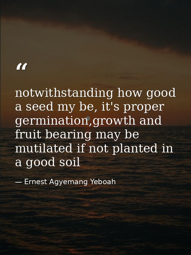notwithstanding how good a seed my be, it's proper germination,growth and fruit bearing may be mutilated if not planted  — Ernest Agyemang Yeboah
