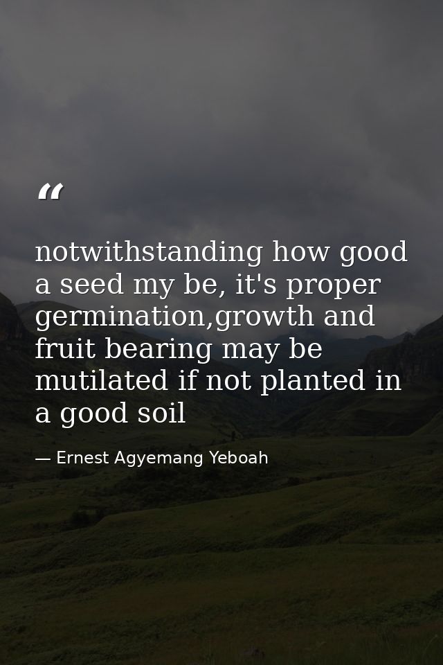 notwithstanding how good a seed my be, it's proper germination,growth and fruit bearing may be mutilated if not planted  — Ernest Agyemang Yeboah