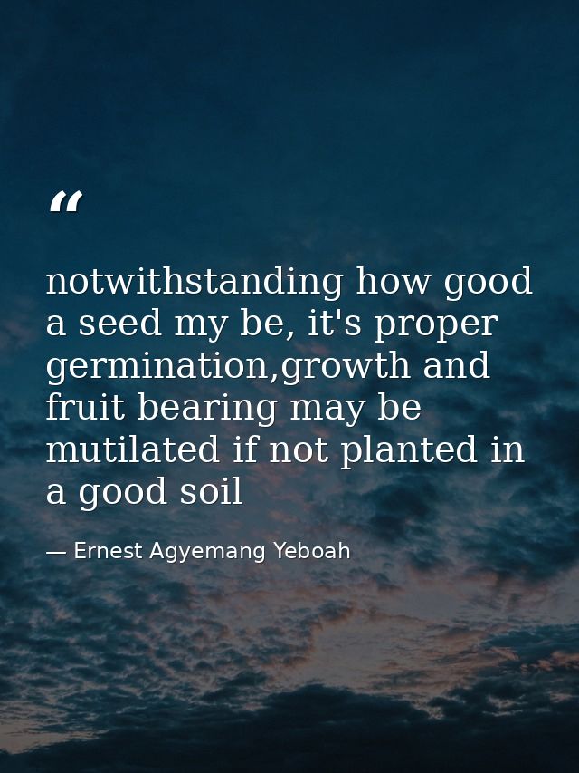 notwithstanding how good a seed my be, it's proper germination,growth and fruit bearing may be mutilated if not planted  — Ernest Agyemang Yeboah
