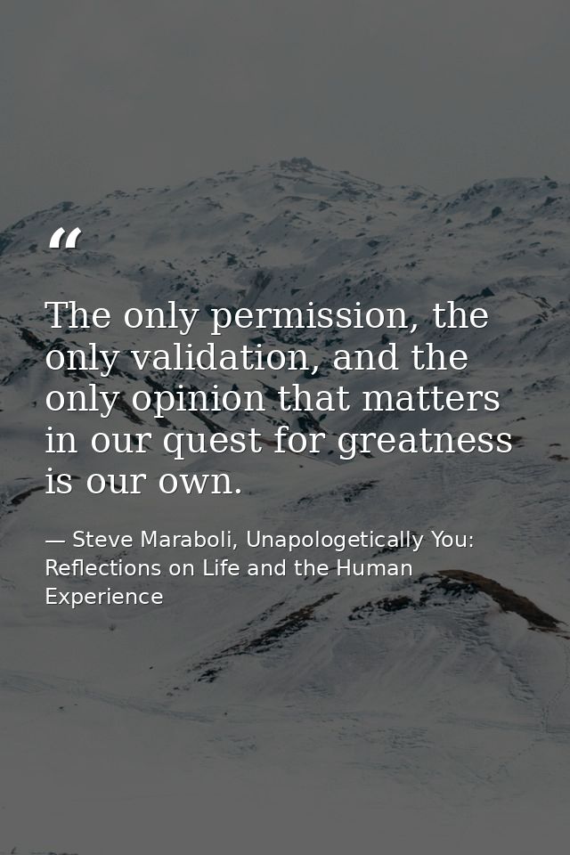 The only permission, the only validation, and the only opinion that matters in our quest for greatness is our own. — Steve Maraboli, Unapologetically You: Reflections on Life and the Human Experience
