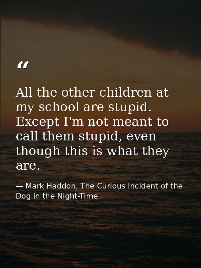 All the other children at my school are stupid. Except I'm not meant to call them stupid, even though this is what they  — Mark Haddon, The Curious Incident of the Dog in the Night-Time
