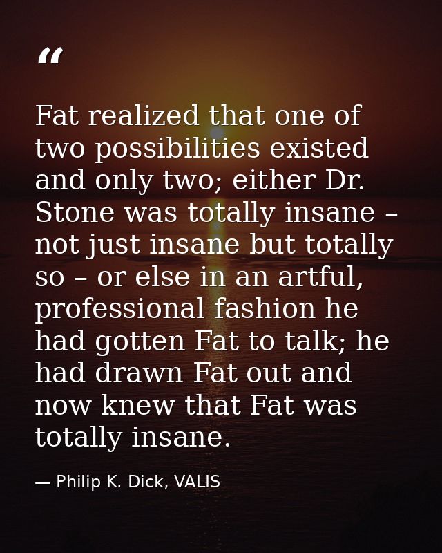 Fat realized that one of two possibilities existed and only two; either Dr. Stone was totally insane – not just insane b — Philip K. Dick, VALIS