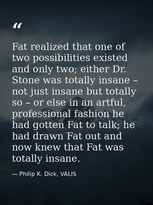 Fat realized that one of two possibilities existed and only two; either Dr. Stone was totally insane – not just insane b — Philip K. Dick, VALIS