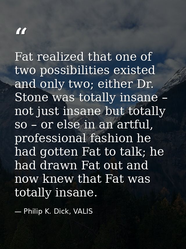 Fat realized that one of two possibilities existed and only two; either Dr. Stone was totally insane – not just insane b — Philip K. Dick, VALIS