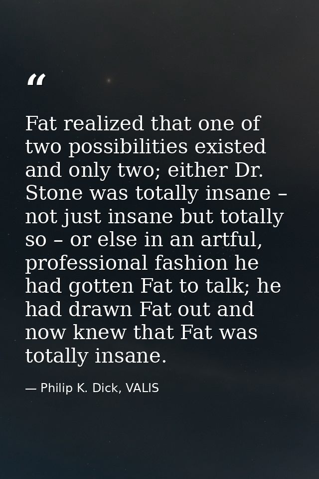 Fat realized that one of two possibilities existed and only two; either Dr. Stone was totally insane – not just insane b — Philip K. Dick, VALIS