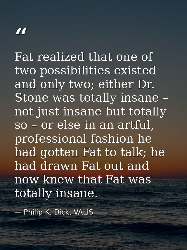 Fat realized that one of two possibilities existed and only two; either Dr. Stone was totally insane – not just insane b — Philip K. Dick, VALIS