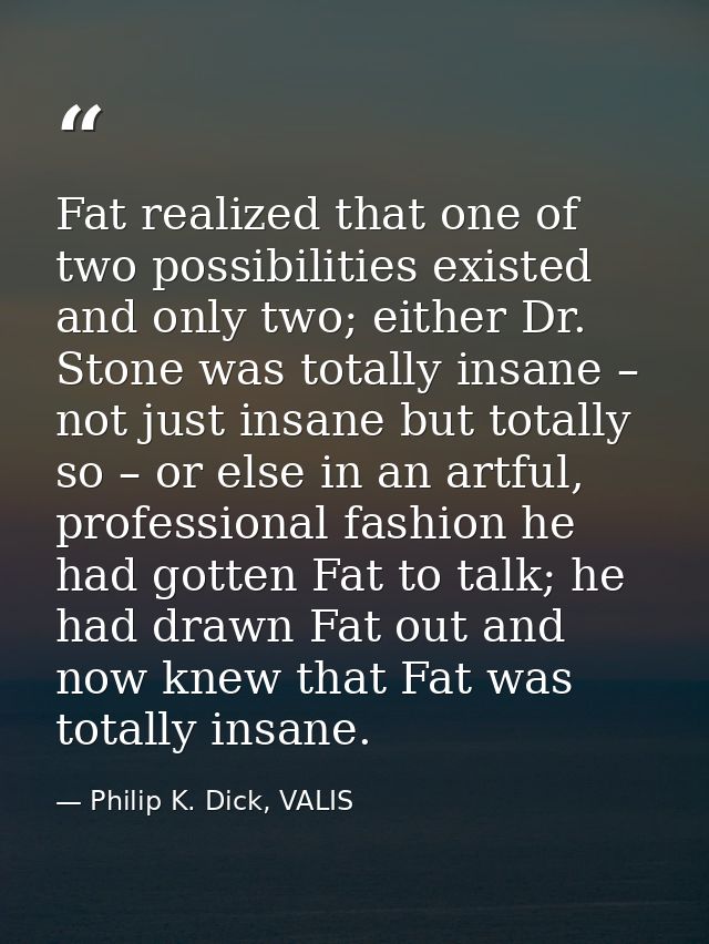 Fat realized that one of two possibilities existed and only two; either Dr. Stone was totally insane – not just insane b — Philip K. Dick, VALIS