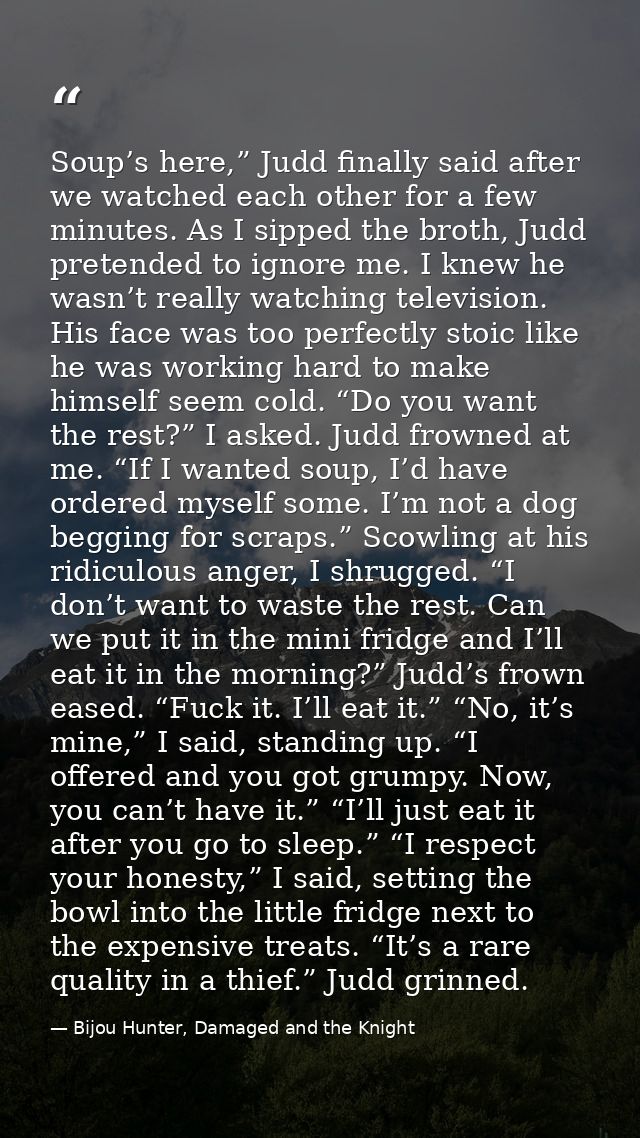 Soup’s here,” Judd finally said after we watched each other for a few minutes. As I sipped the broth, Judd pretended to  — Bijou Hunter, Damaged and the Knight