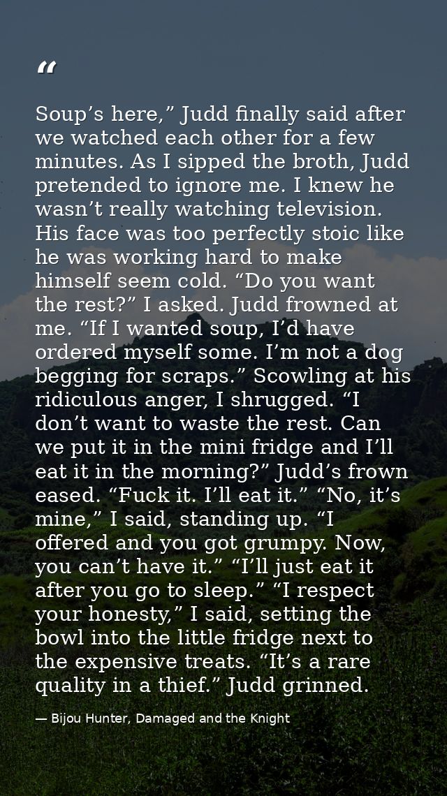 Soup’s here,” Judd finally said after we watched each other for a few minutes. As I sipped the broth, Judd pretended to  — Bijou Hunter, Damaged and the Knight