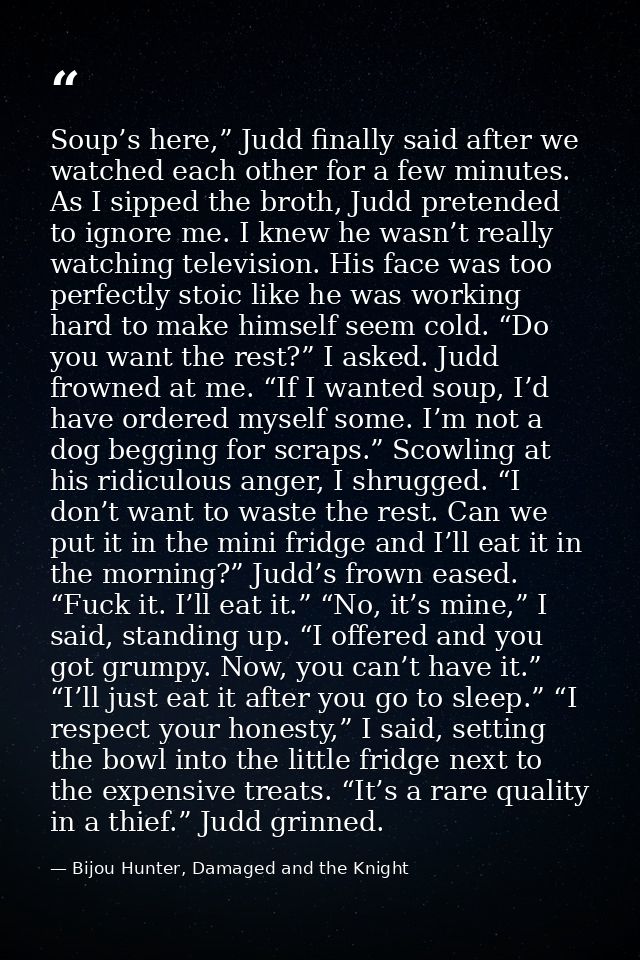 Soup’s here,” Judd finally said after we watched each other for a few minutes. As I sipped the broth, Judd pretended to  — Bijou Hunter, Damaged and the Knight