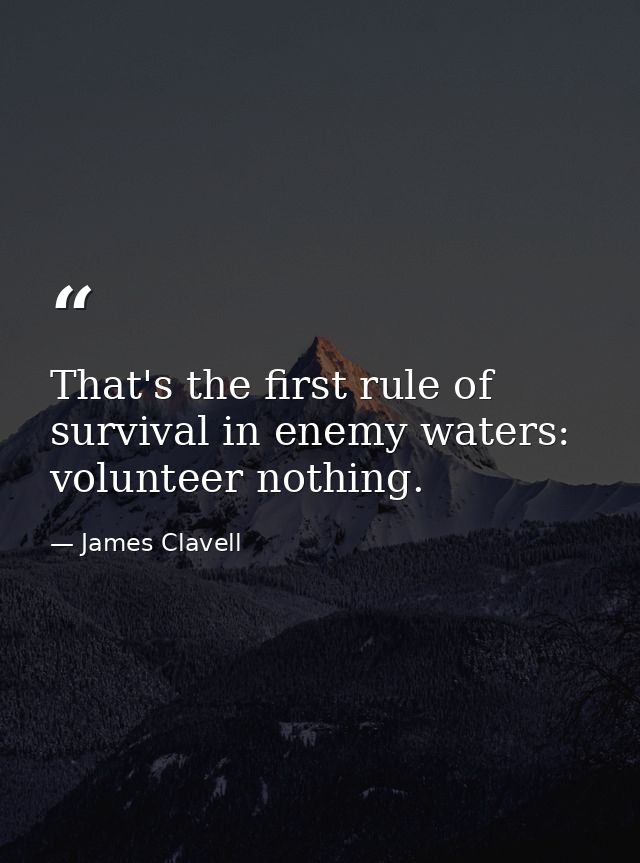That's the first rule of survival in enemy waters: volunteer nothing. — James Clavell